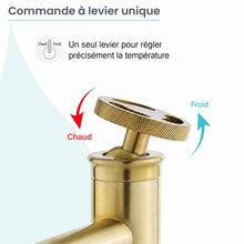 Avallon monotrou, monocommande Wheel, mitigeur de lavabo – finition or brossé