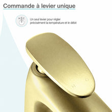 Sublime monotrou, monocommande, mitigeur de lavabo – finition or brossé