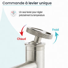 Avallon monotrou, monocommande Wheel, mitigeur de lavabo – finition nickel brossé