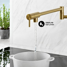 Ivy Retractable mural Pot Filler – finition or brossé