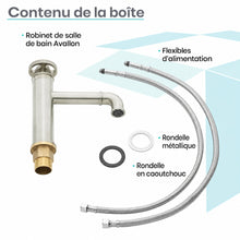Avallon monotrou, monocommande Wheel, mitigeur de lavabo – finition nickel brossé