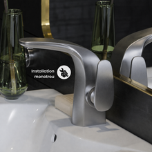 Chateau monotrou, monocommande, mitigeur de lavabo – finition nickel brossé