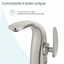 Chateau monotrou, monocommande, mitigeur de lavabo – finition nickel brossé