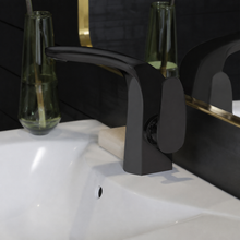 Chateau monotrou, monocommande, mitigeur de lavabo – finition noir mat
