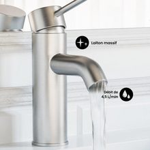 Ivy — Mitigeur de lavabo monotrou, nickel brossé