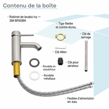 Ivy — Mitigeur de lavabo monotrou, nickel brossé