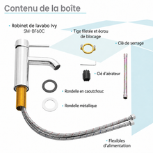 Ivy — Mitigeur de lavabo monotrou, chromé