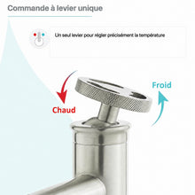 Avallon monotrou, monocommande Wheel, mitigeur de lavabo – finition nickel brossé
