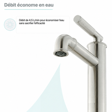 Avallon monotrou, monocommande Sleek, mitigeur de lavabo – finition nickel brossé