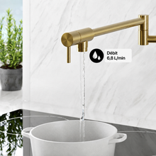 Ivy Retractable mural Pot Filler – finition or brossé