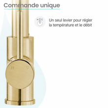 Nouvet Poignée unique, Pull-Down mitigeur de cuisine – finition or brossé