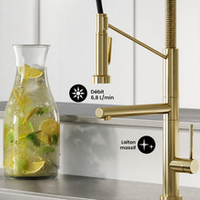 Nouvet Poignée unique, Pull-Down mitigeur de cuisine avec Pot Filler – finition or brossé