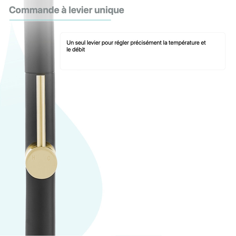 Chalet — Mitigeur de cuisine à ressort avec douchette, or brossé et noir
