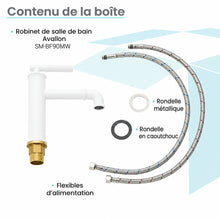 Avallon monotrou, monocommande Sleek, mitigeur de lavabo – finition blanc mat