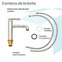 Avallon monotrou, monocommande Sleek, mitigeur de lavabo – finition nickel brossé