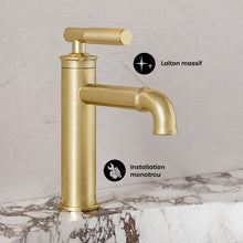 Avallon monotrou, monocommande Sleek, mitigeur de lavabo – finition or brossé