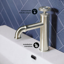 Avallon monotrou, monocommande Wheel, mitigeur de lavabo – finition nickel brossé