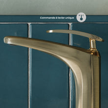 Sublime monotrou, monocommande, mitigeur de lavabo – finition or brossé